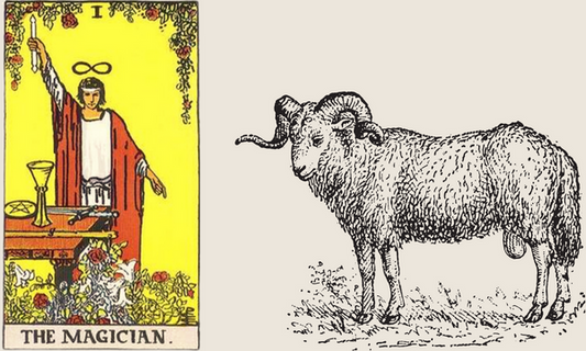 De tarotkaart de Magiër en Ram
