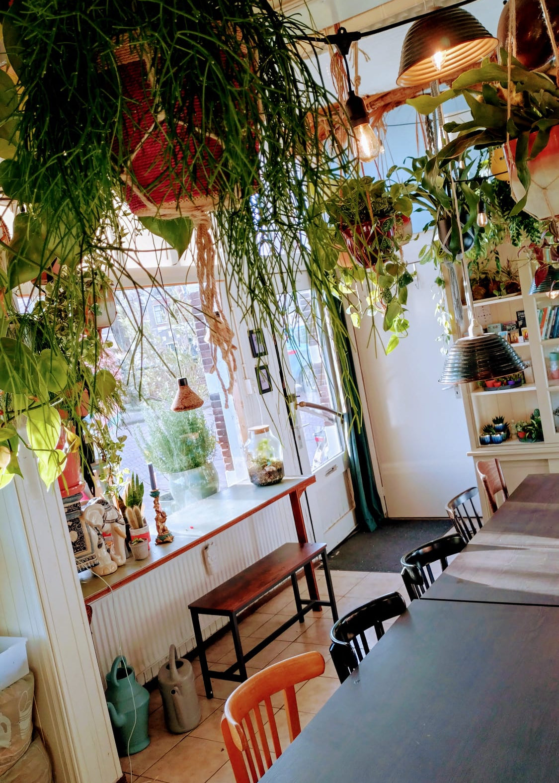 workshop tarot in Leiden